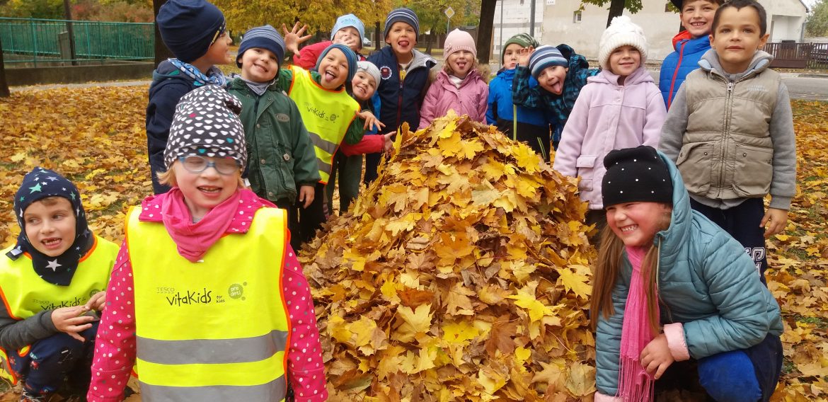 Tajomstvo farebných listov