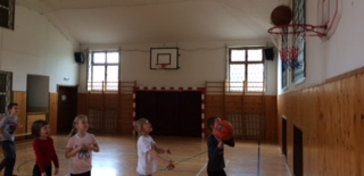 Basketbalové koše