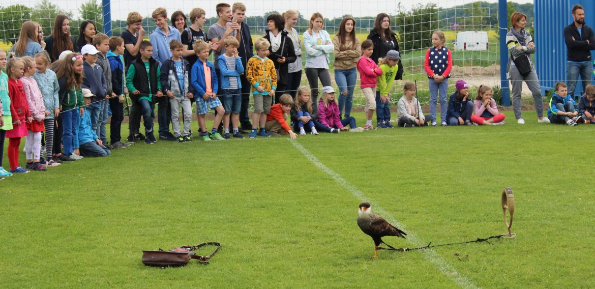 Krása letu dravých vtákov