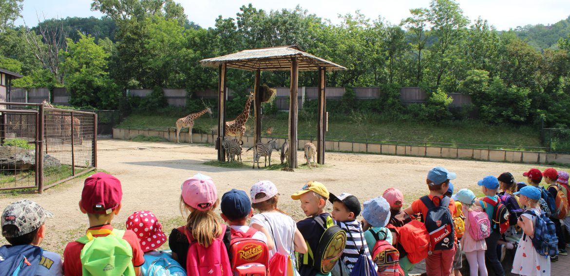  Výlet do ZOO