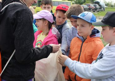 Jahody v Dunajskej Lužnej