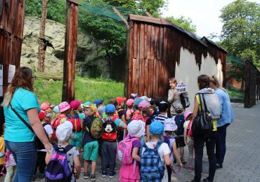  Výlet do ZOO